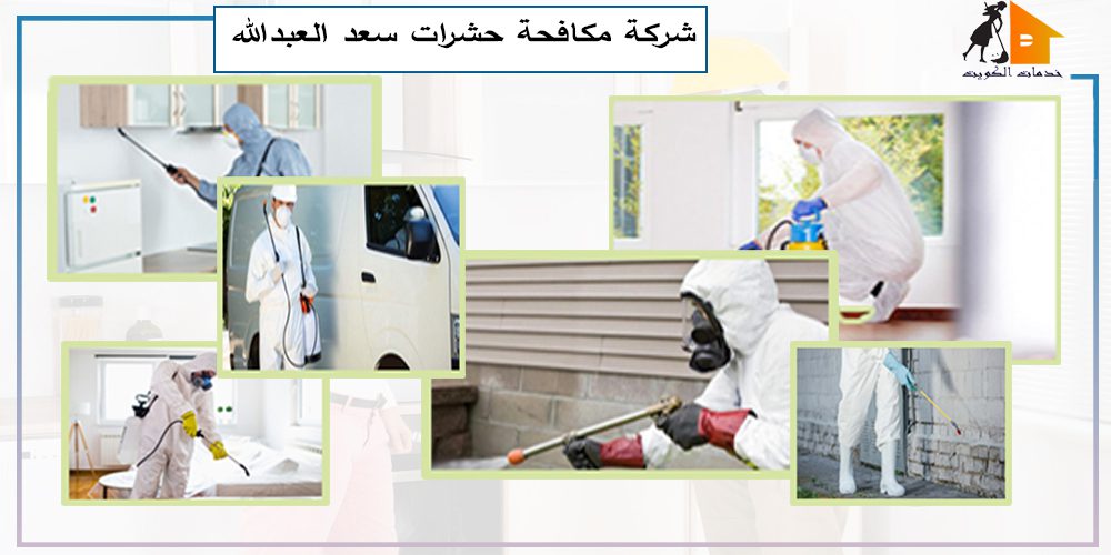 شركة رش حشرات سعد العبدالله